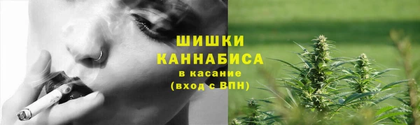 тгк Лиски
