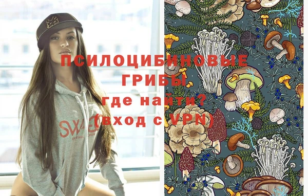 тгк Лиски