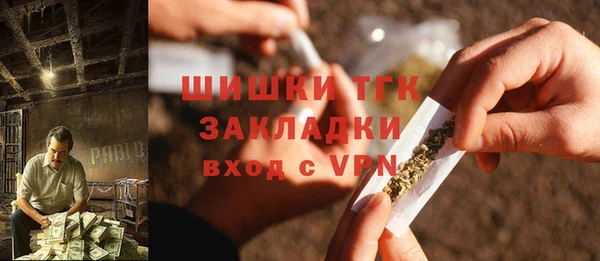 тгк Лиски